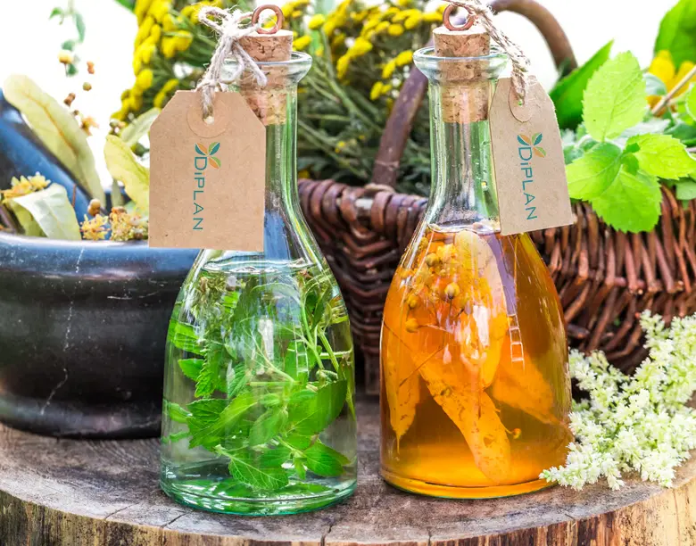 Naturaleza Diplan