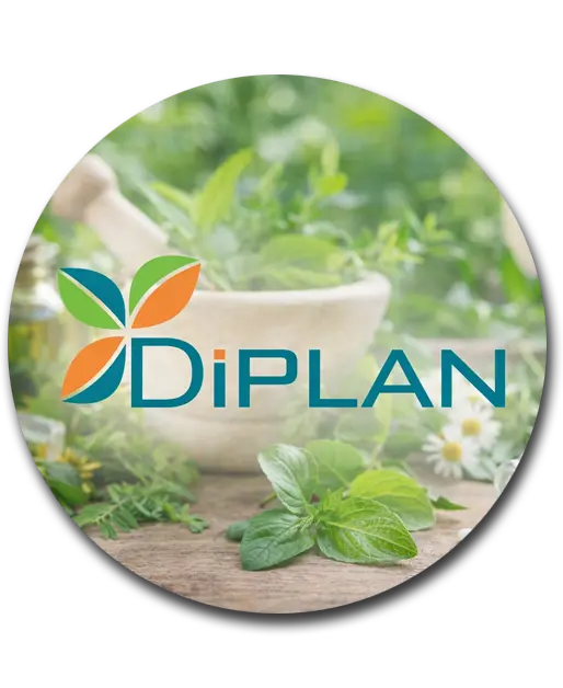 Diplan circulo